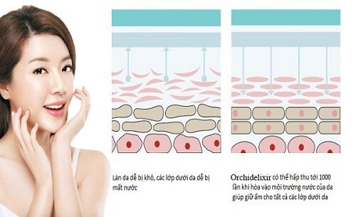Làn da ẩm mịn, căng mướt hơn nhờ bộ dưỡng da Innisfree Orrchid Special kit Làn da ẩm mịn, căng mướt hơn nhờ bộ dưỡng da Innisfree Orrchid Special kit